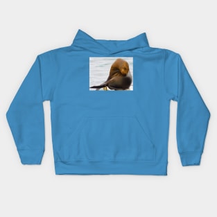 Come hither Kids Hoodie